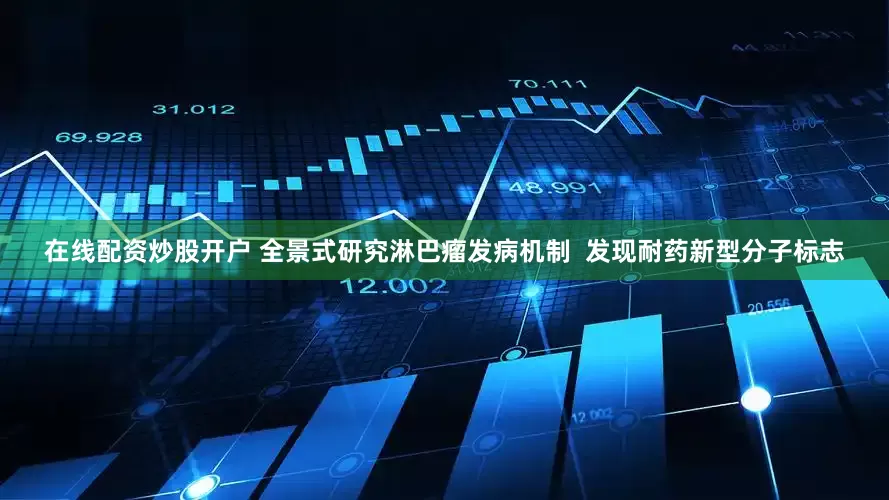 在线配资炒股开户 全景式研究淋巴瘤发病机制  发现耐药新型分子标志